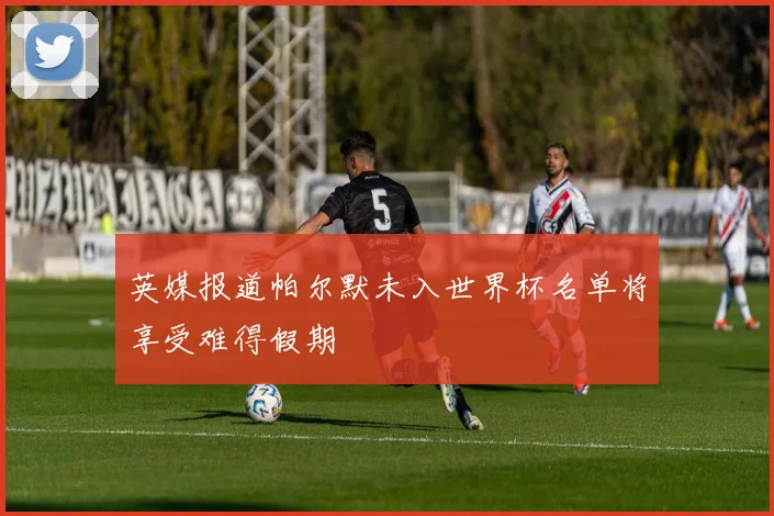 英媒报道帕尔默未入世界杯名单将享受难得假期