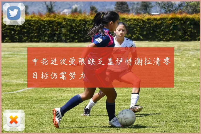 申花进攻受限缺乏盖伊特谢拉清零目标仍需努力