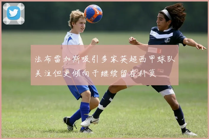 法布雷加斯吸引多家英超西甲球队关注但更倾向于继续留在科莫