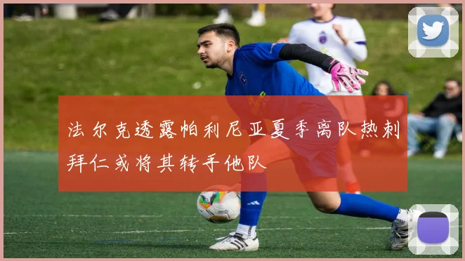 法尔克透露帕利尼亚夏季离队热刺拜仁或将其转手他队